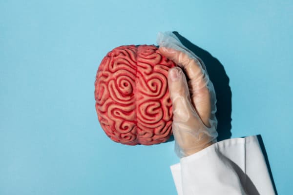 top-view-person-holding-brain